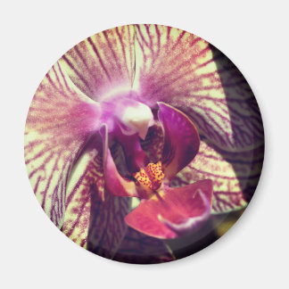 Imán Fotografía de cerca de flor de orquídea