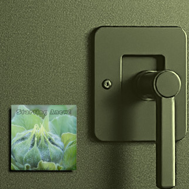 Imán Fotografía De Cierre De La Torta De Girasol Humede (2" square magnet)