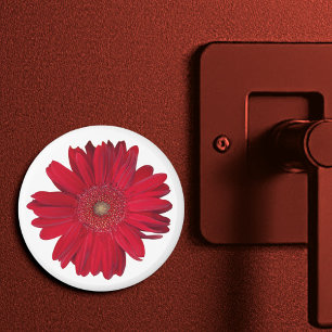 Imán Fotografía de Cierre de Red Gerber Daisy