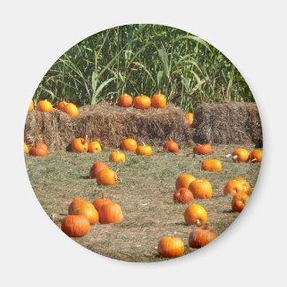 Imán Fotografía de cosecha otoñal de calabazas, maíz y