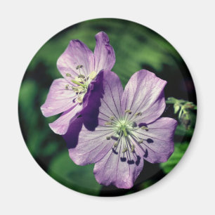 Imán Fotografía de flores de geranio de las gemelas Lav