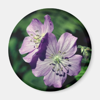 Imán Fotografía de flores de geranio de las gemelas Lav