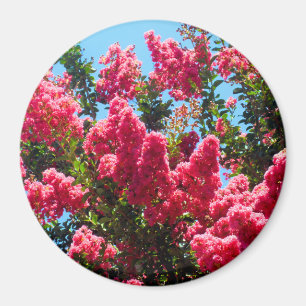 Imán Fotografía de flores de mirto de crepé rosa