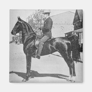 Imán Fotografía de la cosecha de caballos de Saddlebred