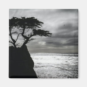 Imán Fotografía de la naturaleza blanco y negro
