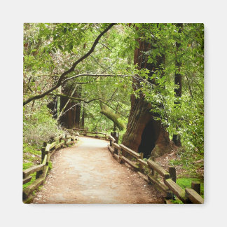 Imán Fotografía de la Naturaleza de Camino II de Muir W