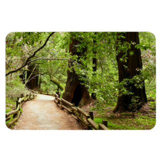Imán Fotografía de la Naturaleza de Camino II de Muir W