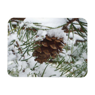 Imán Fotografía de la naturaleza de la nieve de Pine Co