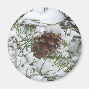 Imán Fotografía de la naturaleza de la nieve de Pine Co