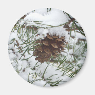 Imán Fotografía de la naturaleza de la nieve de Pine Co