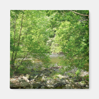 Imán Fotografía de la naturaleza de Maryland con vistas