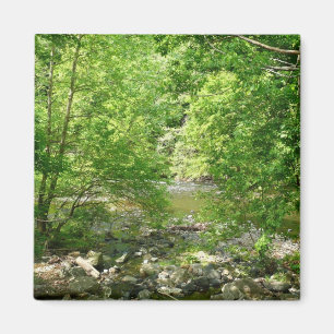 Imán Fotografía de la naturaleza de Maryland vista del
