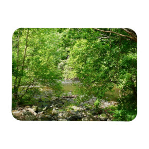 Imán Fotografía de la naturaleza de Maryland vista del 