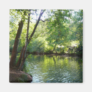 Imán Fotografía de la naturaleza de Oak Creek I en Sedo