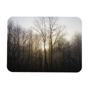 Imán Fotografía de la naturaleza del amanecer de niebla