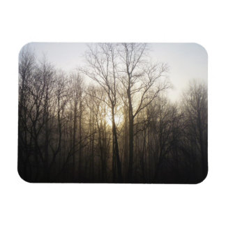 Imán Fotografía de la naturaleza del amanecer de niebla