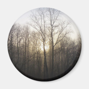 Imán Fotografía de la naturaleza del amanecer de niebla