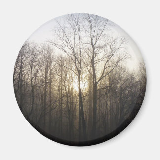 Imán Fotografía de la naturaleza del amanecer de niebla