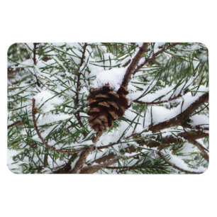 Imán Fotografía de la naturaleza del invierno de Snowy