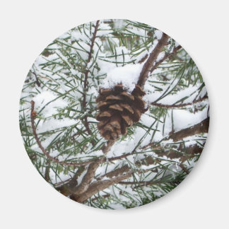Imán Fotografía de la naturaleza del invierno de Snowy