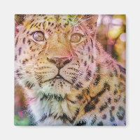 Fotografía de Leopard Close Up