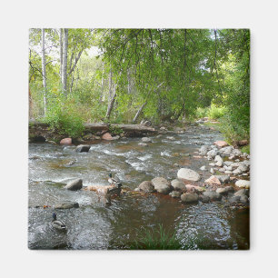 Imán Fotografía de naturaleza de Oak Creek y patos real