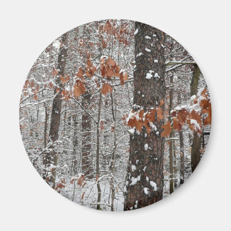 Imán Fotografía de naturaleza invernal de robles cubier