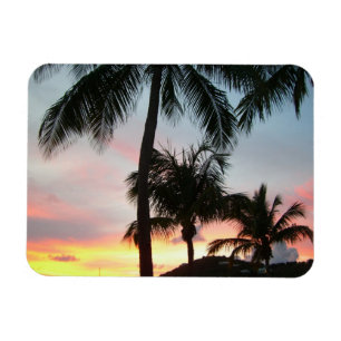 Imán Fotografía de paisajes tropicales de palmas de sol