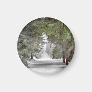 Imán Fotografía de pinos de nieve en los caminos fores