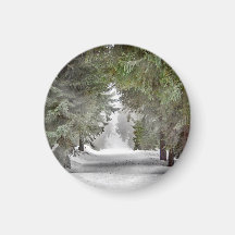 Fotografía de pinos de nieve en los caminos forest