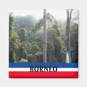 Imán Fotografía de recuerdo de la selva tropical de Bor