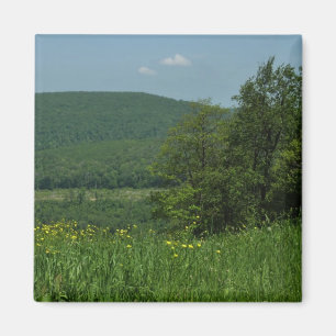 Imán Fotografía de verano de Laurel Highlands Pennsylva