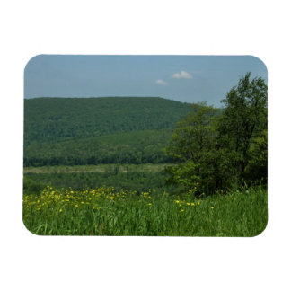 Imán Fotografía de verano de Laurel Highlands Pennsylva