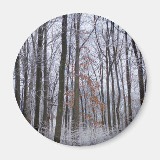 Imán Fotografía del paisaje invernal de la nieve desech