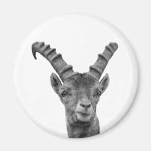Imán Fotografía en blanco y negro de caprichoso