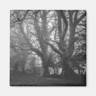 Imán Fotografía espeluznante en blanco y negro del bosq