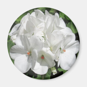 Imán Fotografía floral blanca
