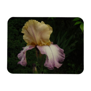Imán Fotografía Floral De Flores Iris