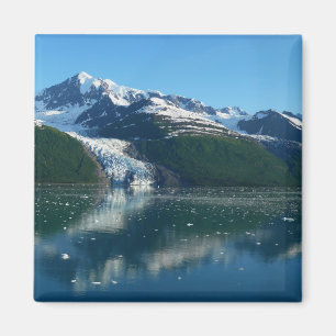 Imán Fotografía Hermosa de Alaska College Fjord II