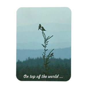 Imán Fotografía Magnet - Sobre el mundo ...