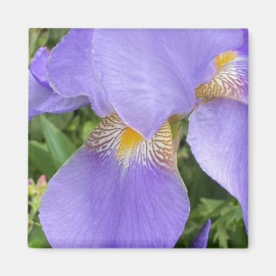 Imán Fotografía morada floral