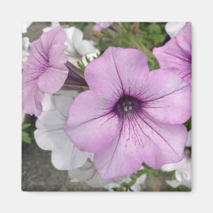Imán Fotografía morada floral