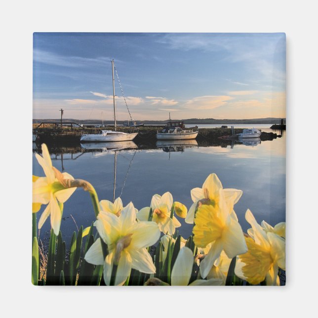 Imán Fotografía panorámica de Fife, Escocia (Frente)