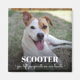 Imán Fotografías conmemorativas de perros en nuestros c