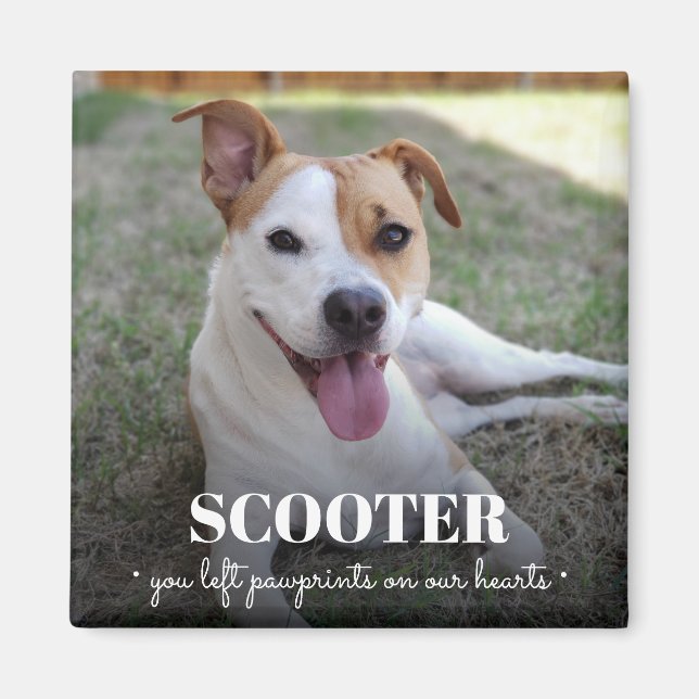 Imán Fotografías conmemorativas de perros en nuestros c (Frente)
