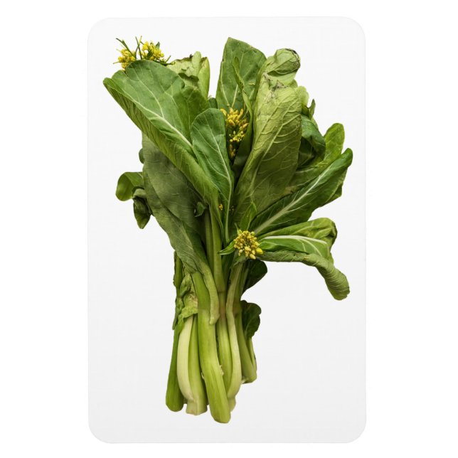 Imán fotográfico Choy Sum (Vertical)