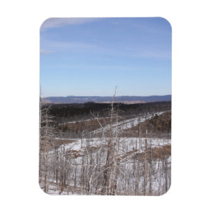 Imán fotográfico de bosque de Pike