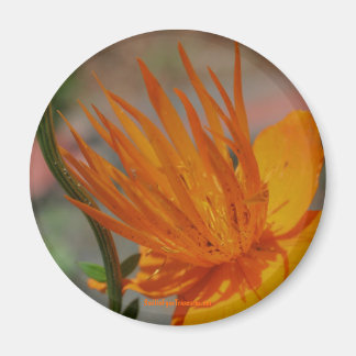 Imán fotográfico de flores amarillas naranja