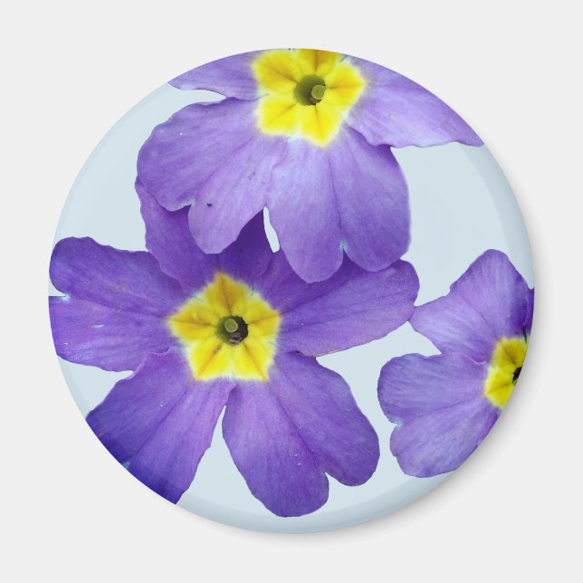 Imán fotográfico de flores moradas (Frente)