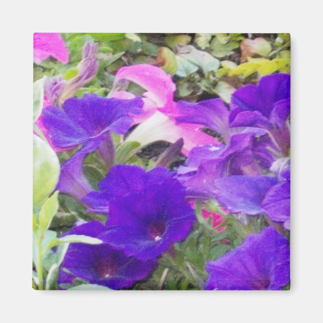 Imán fotográfico de flores moradas (Frente)